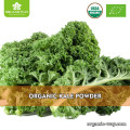 EU NOP Certified Organic Kale Powder